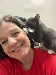 Cosmo is the most loving cat ever. Aswell as playful and stubborn 😂 he  obviously needs to take up the whole sofa. But always happy for cuddles 🥰  and loves playing with