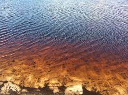 Portail des communes de france : Lagoa Da Coca Cola Baia Formosa 2021 All You Need To Know Before You Go With Photos Tripadvisor