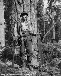 Typical High Climber Gear In Early Times Add An Ole Mccalluh A Water Jug Hard Hat And A Pulley To This And It Would Co Old Trees Forestry Logging Industry