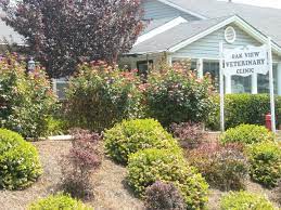 Each year presents its own set of challenges but that is part of the fun and the challenge of taking care of a living plant that covers your landscape. Reed S Lawn Care Landscape Home Facebook