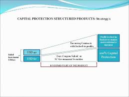 By wan nurul athirah wan abdul rahman. Capital Guarantee And Protection Wan Abdul Rahim Kamil