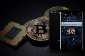 But which is the best option? The Ultimate Guide To The Best Bitcoin Wallets