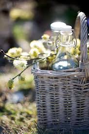 Sweet Tooth Sweet Life