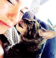 Plecverse II: The Empire Strikes Back