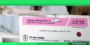 Menurut dasar american academy of pediatrics (aap) yang baru, bayi baru lahir kini harus mendapatkan. Vaksin Hepatitis B Bayi Baru Lahir Manfaat Dan Efek Samping