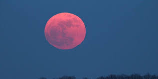 La lune « dite rose » était en notre ciel cette nuit du 7 au 8 avril. Actu Avez Vous Vu La Lune Rose Arts In The City