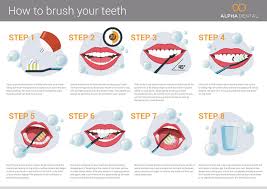 Before eating anything and drinking anything other than water, you'll need to remove your aligners and place them in their protective case. How To Brush Your Teeth The Right Way Infographicbee Com