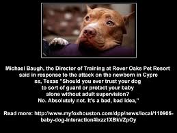 Pin On Pit Bull Quotes