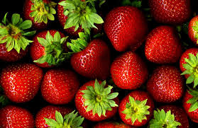 Les Fruits Du Printemps Fraisier Plante Fruits Aliments Pour Maigrir