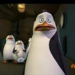 Find gifs with the latest and newest hashtags! Madagascar Penguin Meme Generator Imgflip