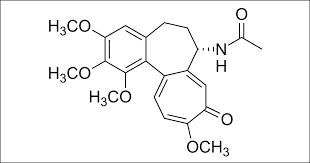 Polytechnique Montreal Participates In Fast Track Clinical Trial Process Of Covid 19 Treatment Drug Science Business