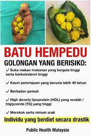 Batu empedu merupakan gangguan kesehatan yang dapat mengganggu kinerja saluran pencernaan. Batu Karang Batu Hempedu Elak Operet Posts Facebook