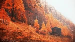 Check spelling or type a new query. Cozy Autumn On Tumblr