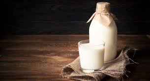 Gratis yogurt apakah anda mencari gambar transparan logo, kaligrafi, siluet di yogurt, krim segar, susu? Minum Susu Segar Mentah Langsung Dari Sapi Bahaya Engga Sih