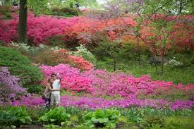 Le Jardin Botanique De New York Fete Ses 125 Ans C New York