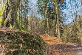 Wegeunfälle sind unfälle, die beschäftigte auf dem weg zur oder von der arbeit erleiden. Alte Wege Im Bergischen Land Fotografische Reisen Und Wanderungen In Deutschland Wanderbloggerin
