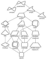 quadrilateral hierarchy quadrilaterals quadrilateral shapes math notebook