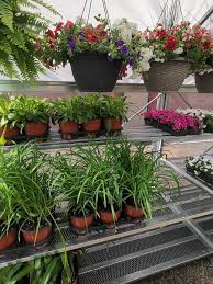 Check spelling or type a new query. Mount Nebo Agway Home Facebook