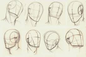 Head Drawing Reference And Sketches For Artists There are 5 heading levels in apa. head drawing reference and sketches for