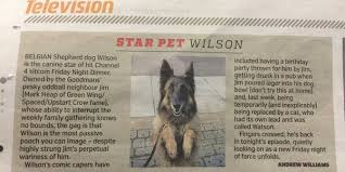 And despite the show being a couple of members down, viewers couldn't help but fall in love with the new addition milson. Petition Bring Back Wilson From The Dead