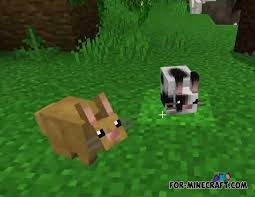 Call of duty 2 ; Mo Creatures Addon For Minecraft Pe 1 16