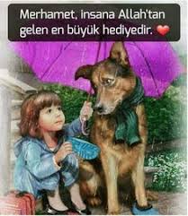 Fi Kulubihim Maradun Fe Za Dehum Size Kotuluk Yapan Kisinin Ismi Anne Adi Allahu Merada Ve Lehum Size Kotuk Yapan Kisinin Ismi Anne Dualar Manevi Guzel Soz