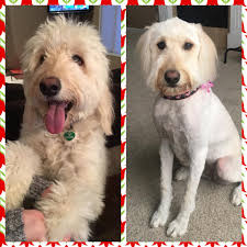 Ms. Shug spent a little time