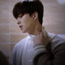 e quem não se apaixonaria👀