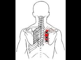 Pin On Massage
