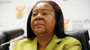 News of Lana Marks assassination plot bizzarre: Pandor