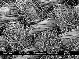 Check spelling or type a new query. Cotton Fabric 40x Things Under A Microscope Microscope Electron Microscope