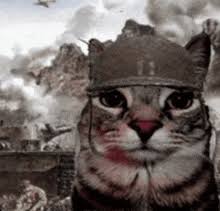 [Image: images?q=tbn:ANd9GcRBDAFuFXhfojwfCcQJlZe...r2PsmGdA&s]