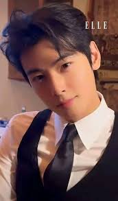 Cha Eun-woo official group