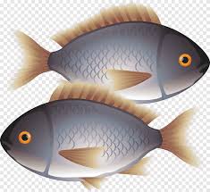 Maybe you would like to learn more about one of these? Ikan Painted Polusi Makanan Euclidean Ikan Hewan Makanan Laut Png Pngegg