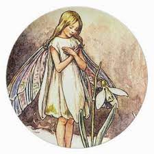 Lumikellukesed Ravivad Vintage Fairies Flower Fairies Cicely Mary Barker