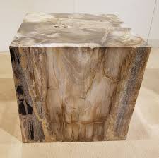 Maybe you would like to learn more about one of these? Side Table Petrified Wood 26364 The Art Of Nature Xyleia Natural Interiors