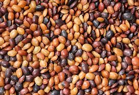 Kollu/horsegram recipes (4) kongu special (5) kongunadu recipes (4). Eating Horse Gram During Pregnancy Health Benefits Risks