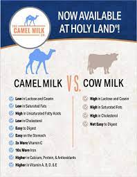 To understand why, we compared the two. Holy Land Camel Milk Now Available At Both Holy Land Facebook
