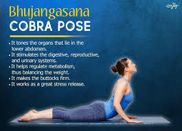 Cow Pose In 2020 Easy Yoga Workouts Yoga Benefits Cobra Pose