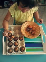 Activites Montessori Vie Pratique Montessori Materiel Educatif Montessori Activites Montessori