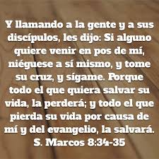 S Marcos 8 34 35 Biblia Reina Valera 1960 Rvr1960 Versiculos Biblicos Biblia Frases De Motivacion Personal