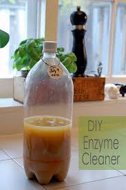 diy enzyme cleaner the results show