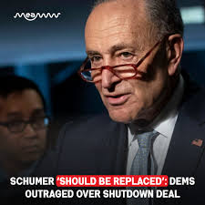 Democratic tensions flare as Rep. Ro Khanna calls for Chuck Schumer to be  replaced, accusing him of failing to hold the party line during the  shutdown fight. Khanna slammed Schumer's inability to