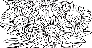Free printable coloring pages and connect the dot pages for kids. Download Our Printable Wildflower Coloring Pages Texas Highways
