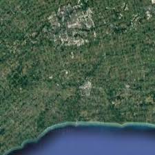 The easiest place to view the array of flora common to the usvi is along roadsides and in west indian gardens at hotels and private. Florist St Thomas Ontario Forest Of Flowers