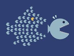 Big Fish, Little Fish | FineArtViews