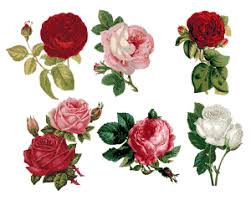 Vintage Roses Cross Stitch Pattern Old Fashioned Flowers Etsy Vintage Roses Collage Vintage Floral