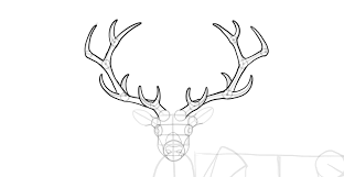 We did not find results for: How To Draw Anime Deer Antlers Drawing For Kids