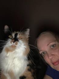 Lost Cat in Gering: Cammy Missing Near 18th and A Street