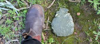 Your Guide To Identifying Animal Poo Good Living